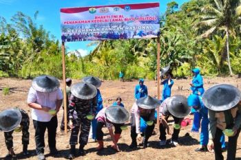 Buol perkuat ketahanan pangan lewat tanam kedelai