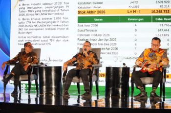 Indonesia's record 5.3M-ton rice stocks strengthen food security