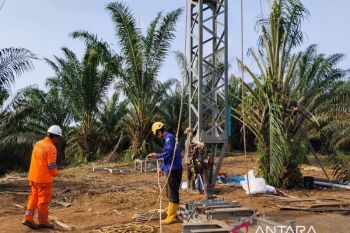 PLN Sumut pastikan sistem kelistrikan Sumut kembali pulih akibat cuaca