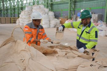 Kian Agresif Kembangkan Bisnis Nonsemen, PT Semen Padang Garap Industri Pulp dan Kertas hingga Peningkatan Kapasitas Sepablock