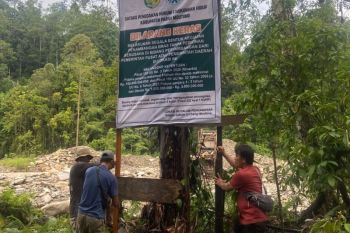 Dnas Lingkungan Hidup Parimo: Tidak ada alat berat di lokasi PETI Karya Mandiri saat penertiban