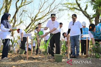 Sumbar tanam 1.000 pohon untuk pulihkan lingkungan terdampak bencana