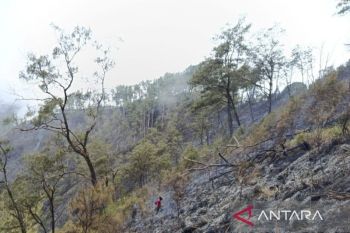Kemenhut memadamkan kebakaran savana Bukit Sempana Lombok Timur