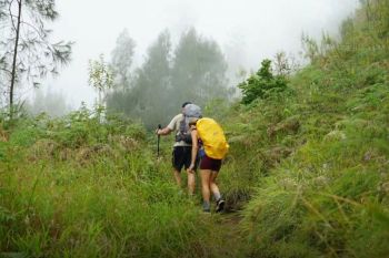 TNGR mengingatkan wisatawan patuhi aturan pendakian di Gunung Rinjani
