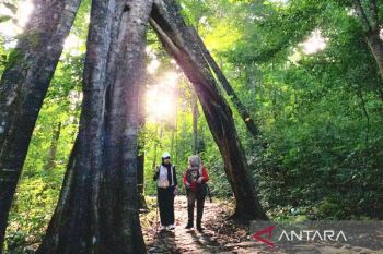 Warisan purba Lembah Kahung&nbsp;