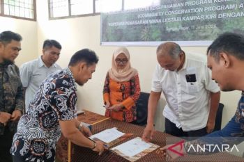 Kolaborasi RAPP dan Koperasi Wana Lestari Dorong Pengelolaan Hutan Berkelanjutan
