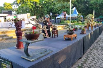 Dispar Kota Mataram optimalkan pendapatan melalui aplikasi "SiPeta"