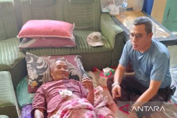 Empat warga diserang babi di Pagelaran Cianjur mulai pulih