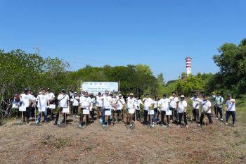 PLN IP tanam ribuan pohon penghijauan