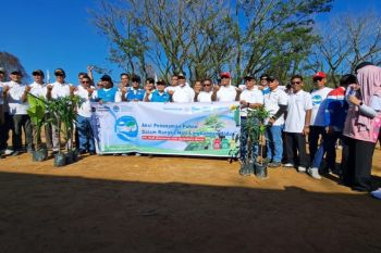 Kolaborasi Hijau untuk Sumbar Berkelanjutan, PLN UID Sumbar Dukung Gerakan Penanaman Pohon pada Hari Lingkungan Hidup 2026