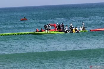 PB Akuatik target perbaiki waktu pada Asian OWS 2026