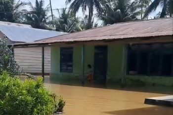 Sebanyak 176 jiwa terdampak banjir di Desa Ongka Parigi Moutong