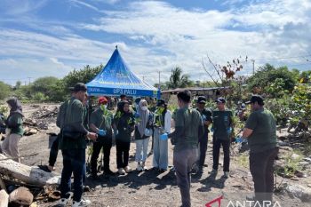 PLN UP3 Palu dan masyarakat tanam 1.000 mangrove di pesisir Teluk Palu