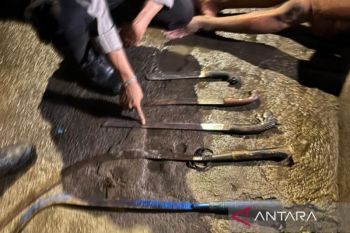 Polda Metro Jaya gagalkan tawuran di Jakarta Utara, tangkap 3 pemuda