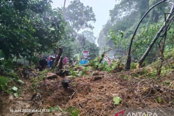 Material longsor tutupi jalan nasional, arus Padang-Painan ditutup total