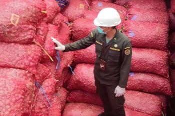 Sertifikasi karantina perkuat daya saing bawang merah