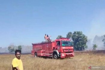Kelalaian akibat pembakaran sampah picu kebakaran 20 Ha lahan di Sabu Raijua NTT
