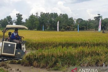 Korem Gapo programkan kembali cetak sawah rakyat di kabupaten Sumsel