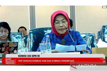 Komnas Perempuan: Perlu percepatan implementasi UU TPKS di daerah