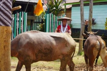 Tiwah dan Mamapas Lewu disiapkan jadi agenda budaya tahunan Kotim