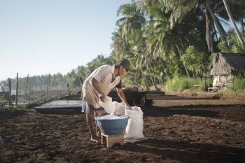 Astra kembangkan wisata dengan pelestarian alam lewat Desa Sejahtera