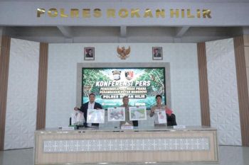 Rambah HPT berisi mangrove seluas 3 hektare, warga Sungai Daun dibekuk Polres Rohil