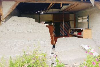 Strong 6.7-magnitude quake damages 841 houses in C Sulawesi: BPBD