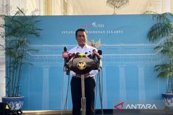 Indonesia's rice reserves sufficient for next 10 months: Minister