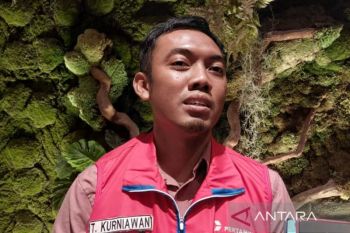 Pertamina Patra Niaga JBT optimalkan pasokan Pertalite saat libur sekolah