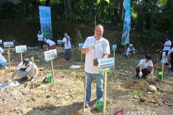 Pelindo Jasa Maritim tanam 2.500 pohon di Tanralili Maros