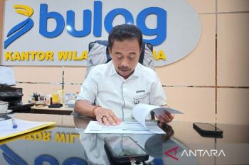 Bulog Papua salurkan 15 ton beras premium ke ritel di Jayapura