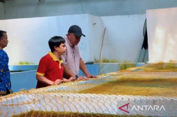 Pemkab Bogor petakan klaster perikanan dan peternakan unggulan tingkatkan produktivitas
