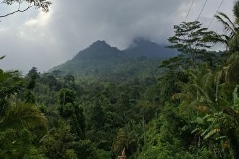 Lampung optimalkan PNBP kehutanan untuk kelestarian dan kesejahteraan