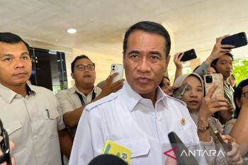 Indonesia meets FAO benchmark for food self sufficiency: Minister