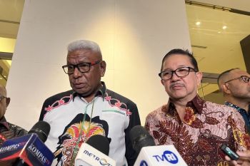 Smelter Freeport ditargetkan mulai berproduksi September 2026