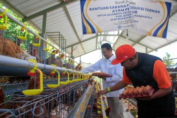 BI pewakilan Jember bantu pengembangan produksi telur ayam di Situbondo