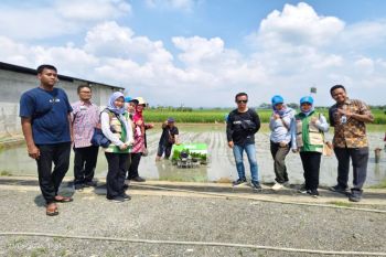 Pemkot Pekalongan-BI tingkatkan SDM petani untuk memperkuat ketahanan pangan