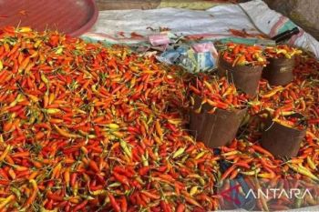 Harga cabai rawit tembus Rp100.000 per kg dan telur ayam Rp29.700 per kg