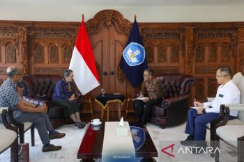 Indonesia, UNESCAP discuss research support for energy transition