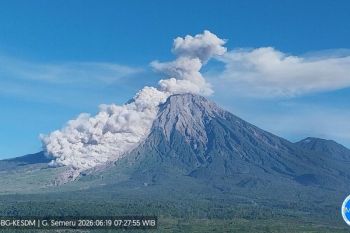 Semeru erupsi disertai awan panas guguran sejauh 4,5 km