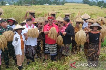 Festival Jatiluwih 2026 resmi dibuka, ayo main ke desa wisata terbaik di dunia!