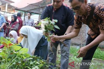 Wali kota Makassar ajak warga manfaatkan pertanian perkotaan
