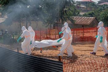 WHO: 75 nakes di Kongo terinfeksi Ebola, 17 meninggal