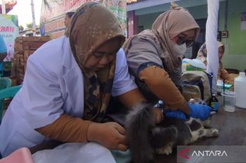 Pemkab Demak vaksinasi rabies gratis untuk hewan peliharaan