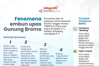 Fenomena embun upas Gunung Bromo