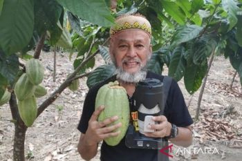 Emas cokelat, modal baru diversifikasi ekonomi berkelanjutan Kutai Timur