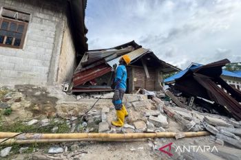 PLN fully restores Central Sulawesi power grid after 6.7 quake