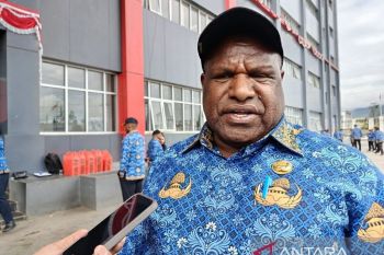 Pemprov sebut Bandara Wamena penggerak roda ekonomi Papua Pegunungan