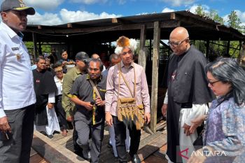Gibran dukung pembangunan Katedral Asmat lewat penanaman cemara