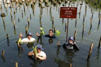 Mangrove untuk perkuat ketahanan pesisir Jakarta, DSLNG wujudkan aksi lingkungan di luar area operasi